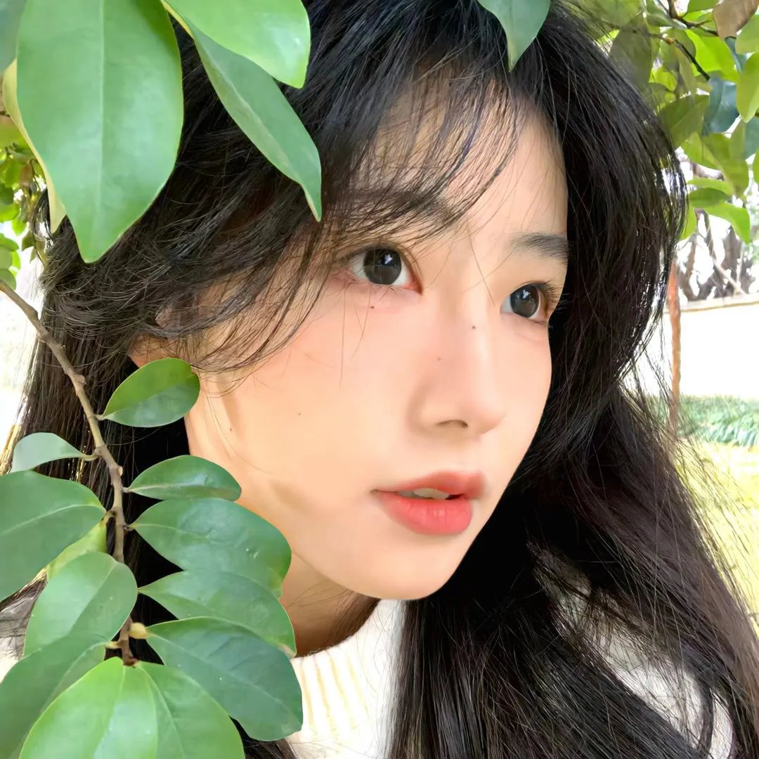 荡妇姬黛